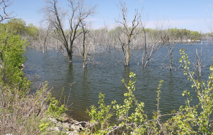 Brushy Creek State Recreation Area, Iowa, USA